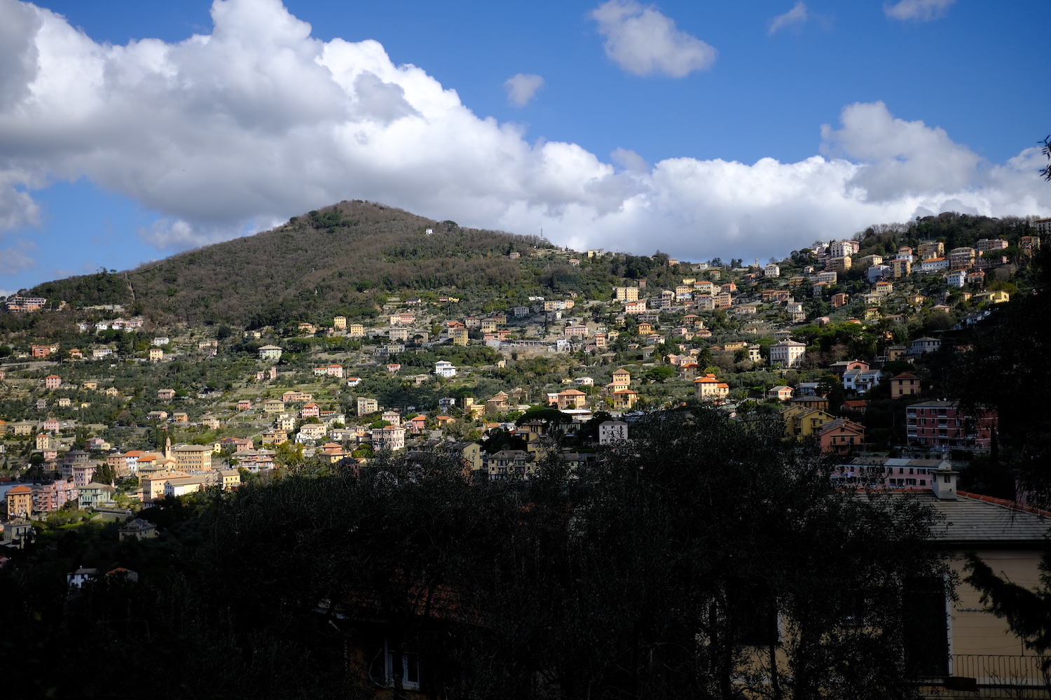 La collina di Ruta, visibile dalla creuza che porta a San Rocco di Camogli.